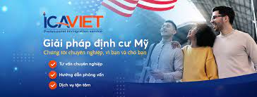 lĩnh vực hoạt động